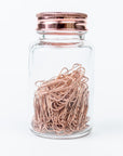 Rose Gold Paper clips